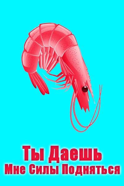 Ты даешь мне силы подняться [1 - 8 серии из 8]