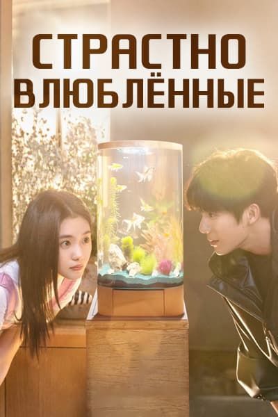 Страстно влюблённые [1 - 24 серии из 24]