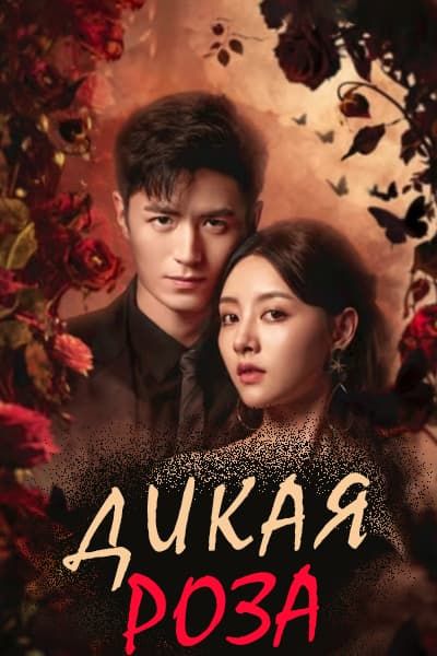 Дикая роза [1 - 24 серии из 24]
