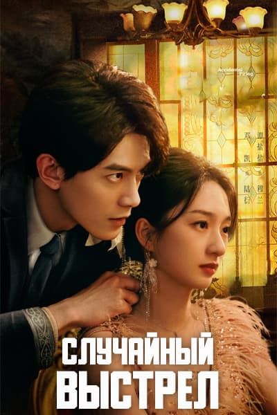 Случайный выстрел [1 - 24 серии из 24]