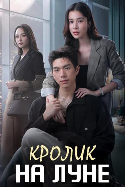 Кролик на луне [1 - 16 серии из 16]