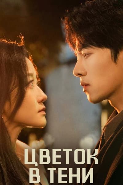 Цветок в тени [1 - 60 серии из 60]