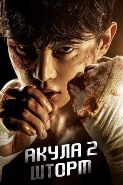 Акула 2: Шторм [1 - 6 серии из 6]