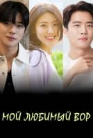 Мой любимый вор [1 - 2 серии из 12+]