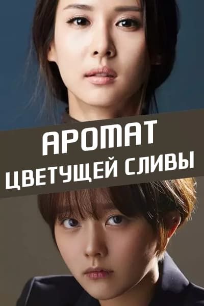 Аромат цветущей сливы [1 - 1 серии из 12+]