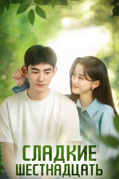 Сладкие шестнадцать [1 - 20 серии из 20]