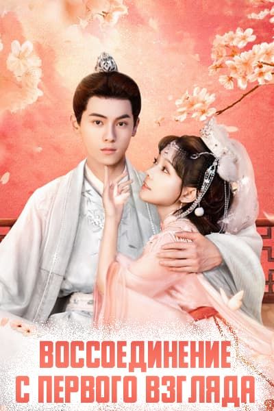 Воссоединение с первого взгляда [1 - 24 серии из 24]