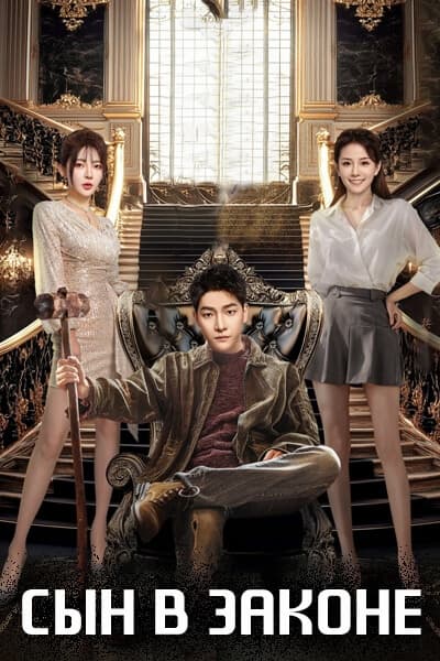 Сын в законе [1 - 24 серии из 24]