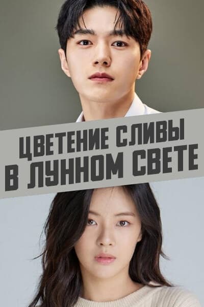 Цветение сливы в лунном свете [1 - 1 серии из 10]