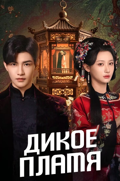 Дикое пламя [1 - 24 серии из 24]