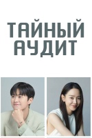 Тайный аудит [1 - 1 серии из 12+]