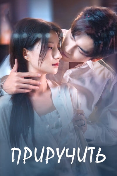 Приручить [1 - 96 серии из 96]