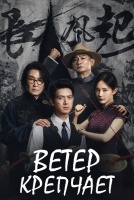 Ветер крепчает [1 - 4 серии из 24]