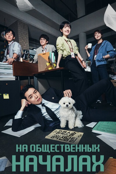 На общественных началах [1 - 5 серии из 12]
