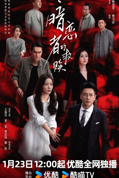 Мой дорогой незнакомец [1 - 6 серии из 13]