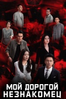 Мой дорогой незнакомец [1 - 8 серии из 13]