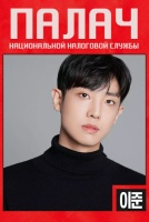 Палач национальной налоговой службы [1 - 1 серии из 12]